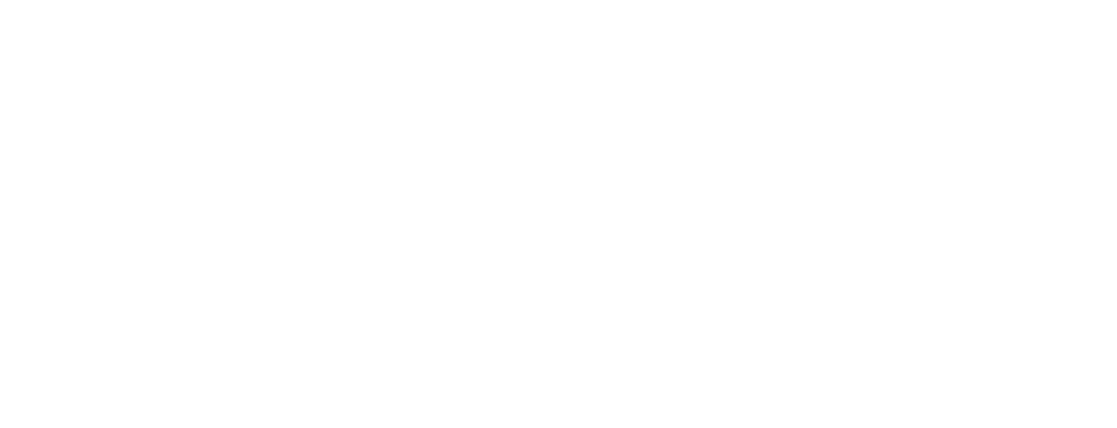 Aishani logo