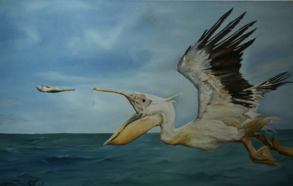 Aerial Hunt: Rosy Pelican's Flight