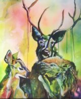 The Barasingha's Love