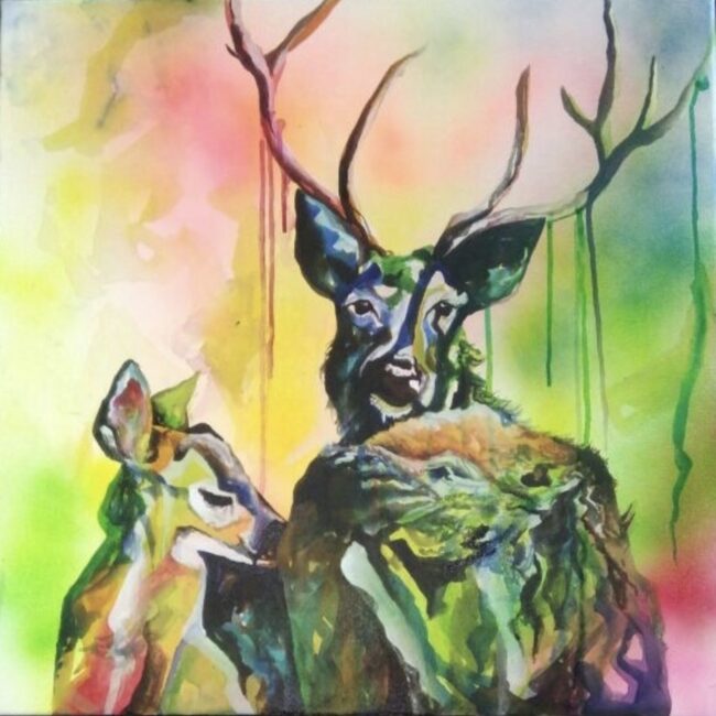 The Barasingha's Love