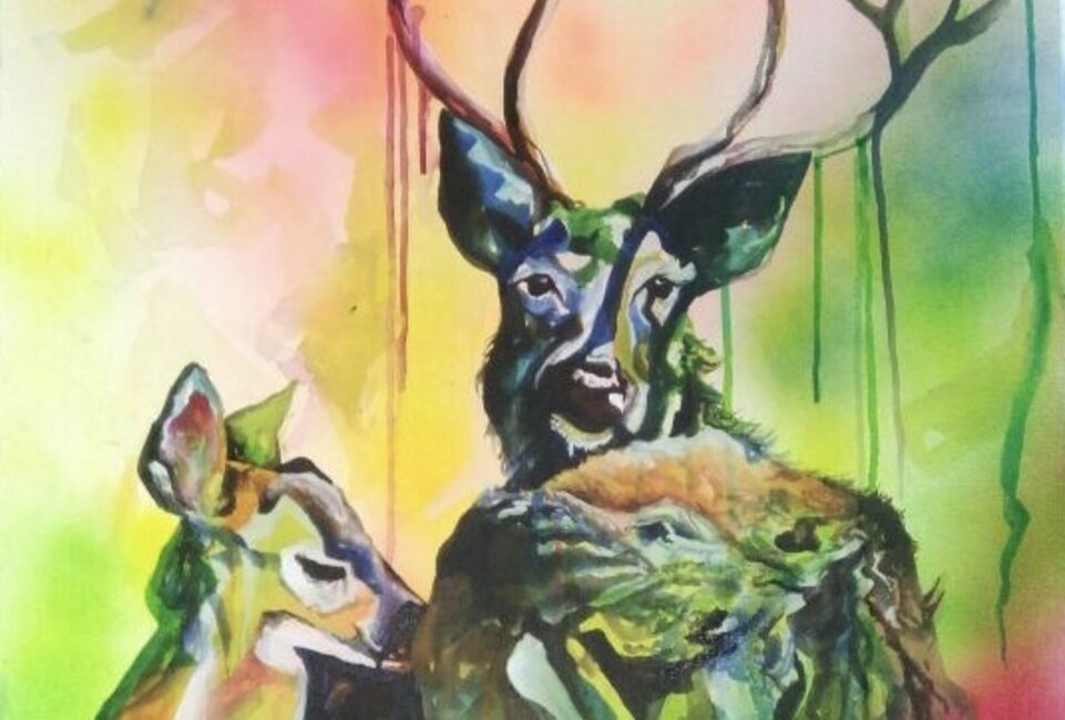 The Barasingha's Love