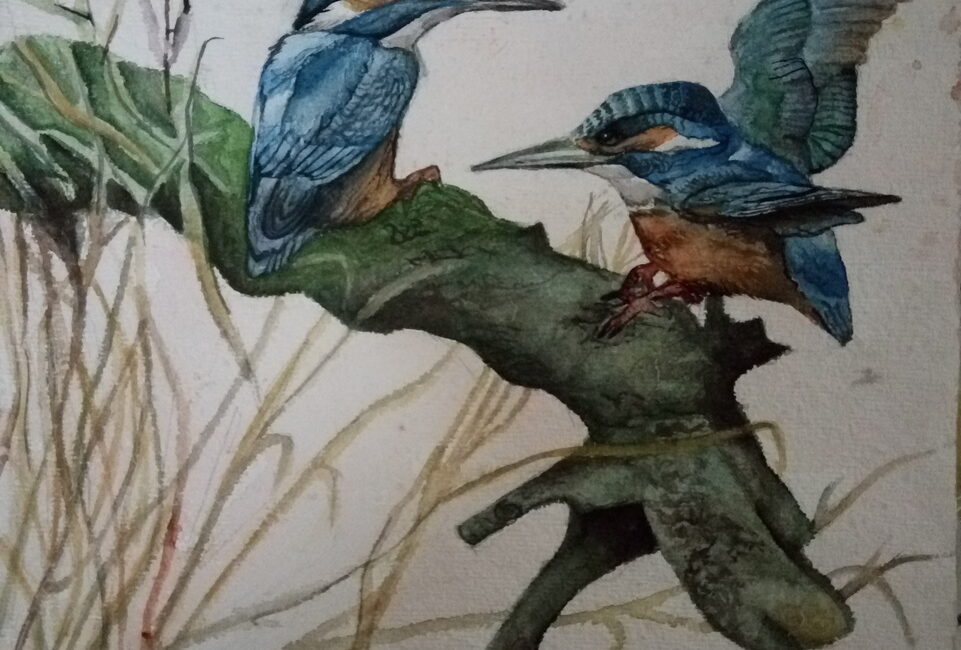 Commercial Painting #10