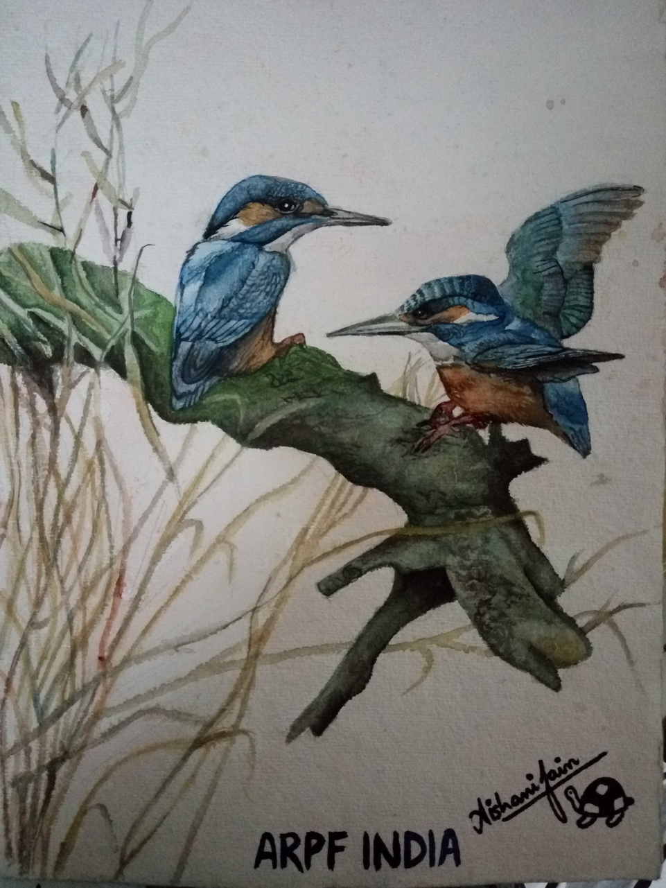 Commercial Painting #10