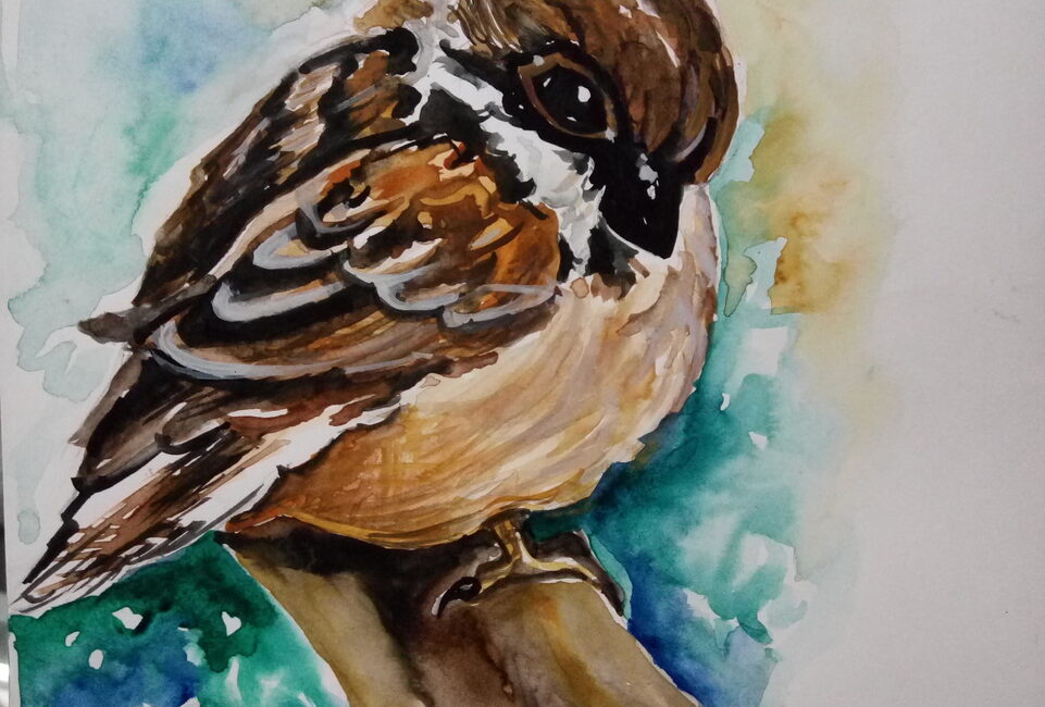 Commercial Painting #12