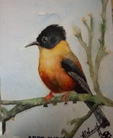 Commercial Painting #6
