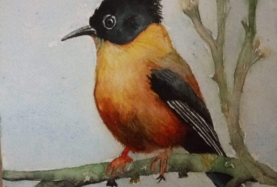 Commercial Painting #6
