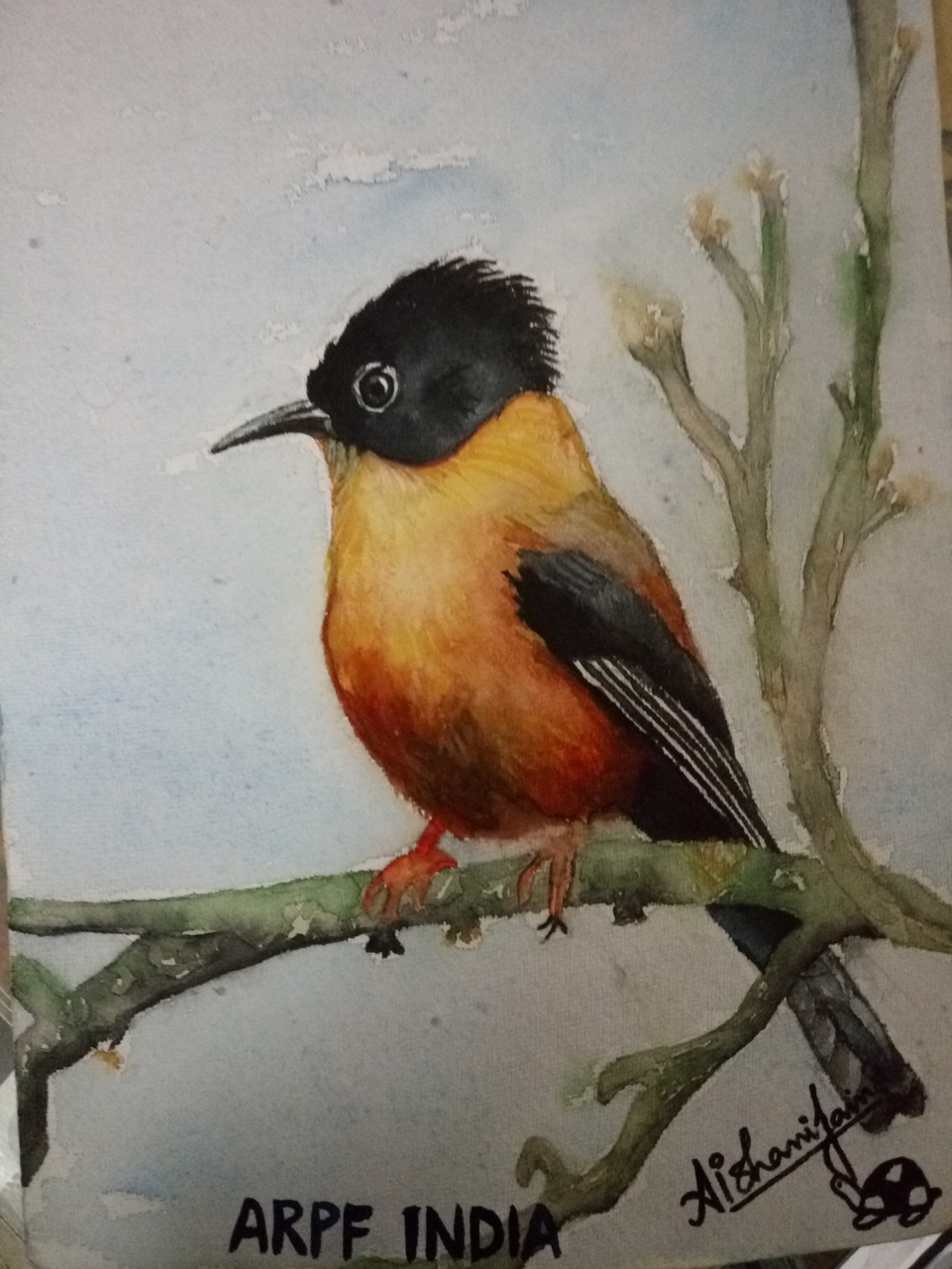Commercial Painting #6