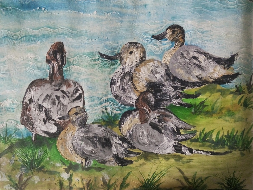 Migratory Birds