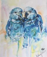 Colorful Spix's Macaws