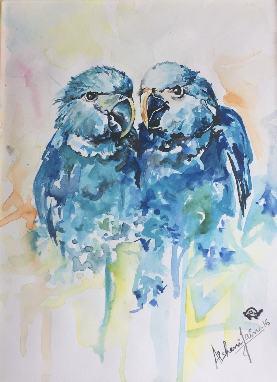 Colorful Spix's Macaws