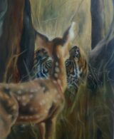 The Gaze: Predator and Prey