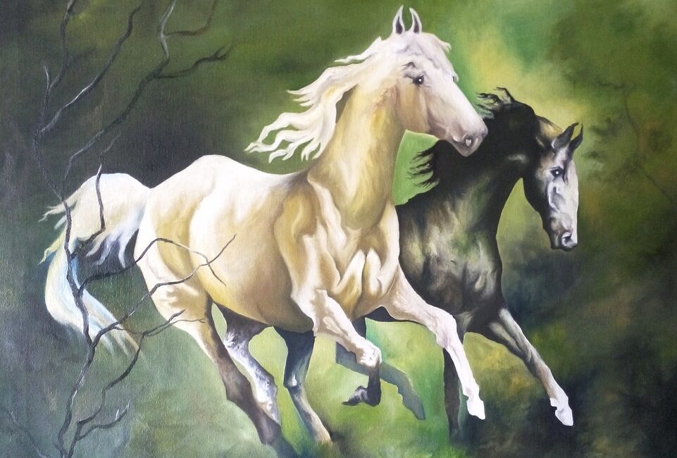 Two horses