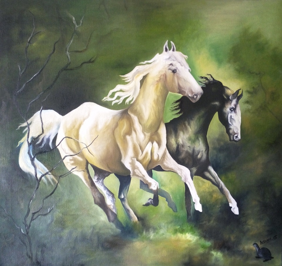 Two horses