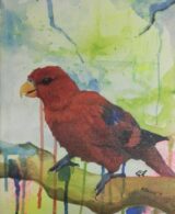 Vibrant Wings: Red Lory's Palette